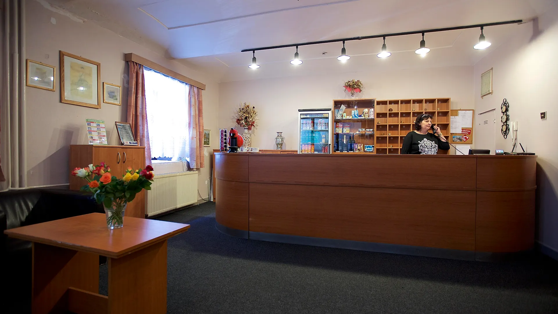 Hotel Olga Praga