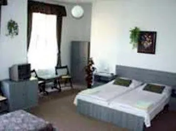 Hotel Olga Praga