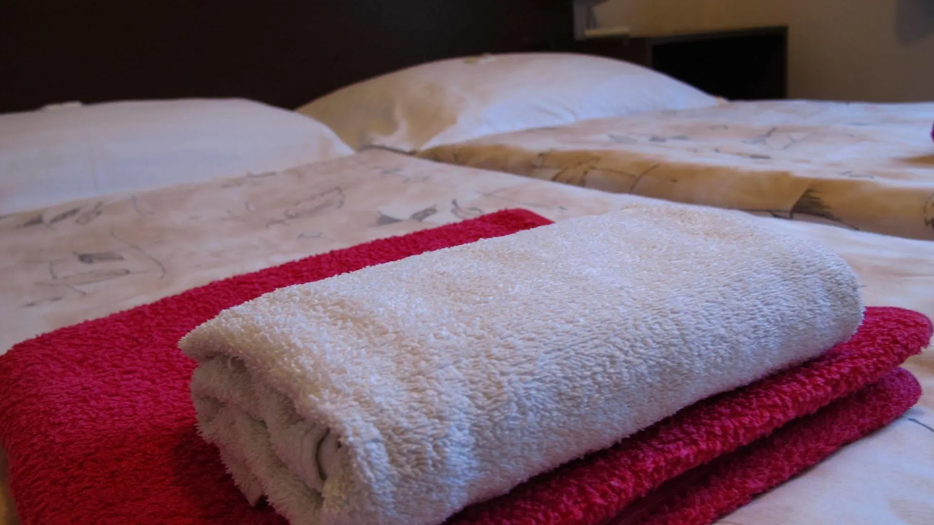 Hotel Olga Praga 3*,