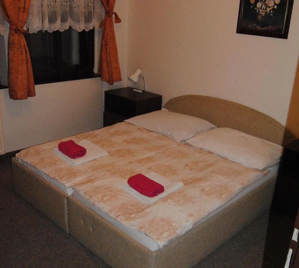 Hotel Olga Praga
